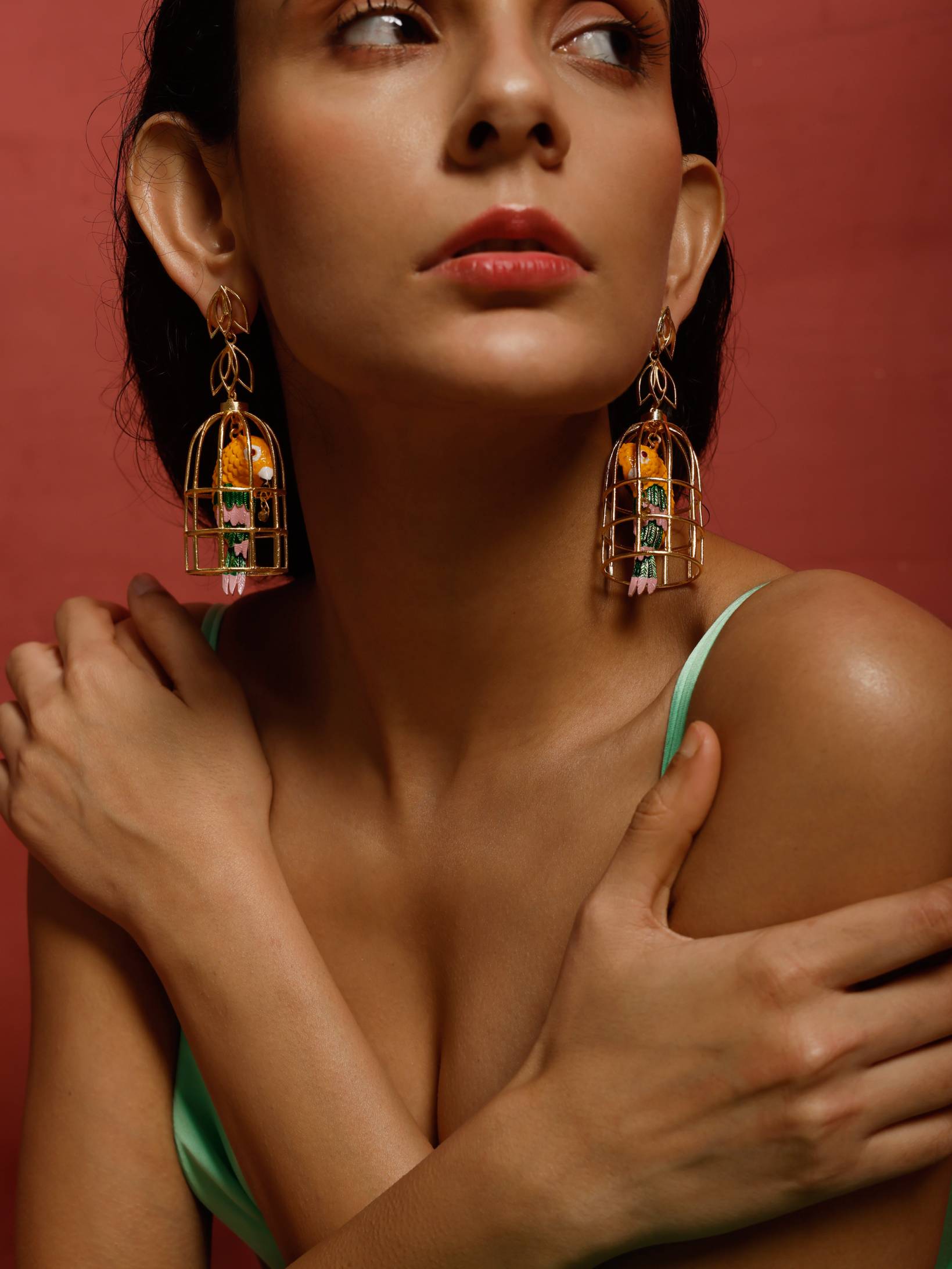 Caged fantasies earrings