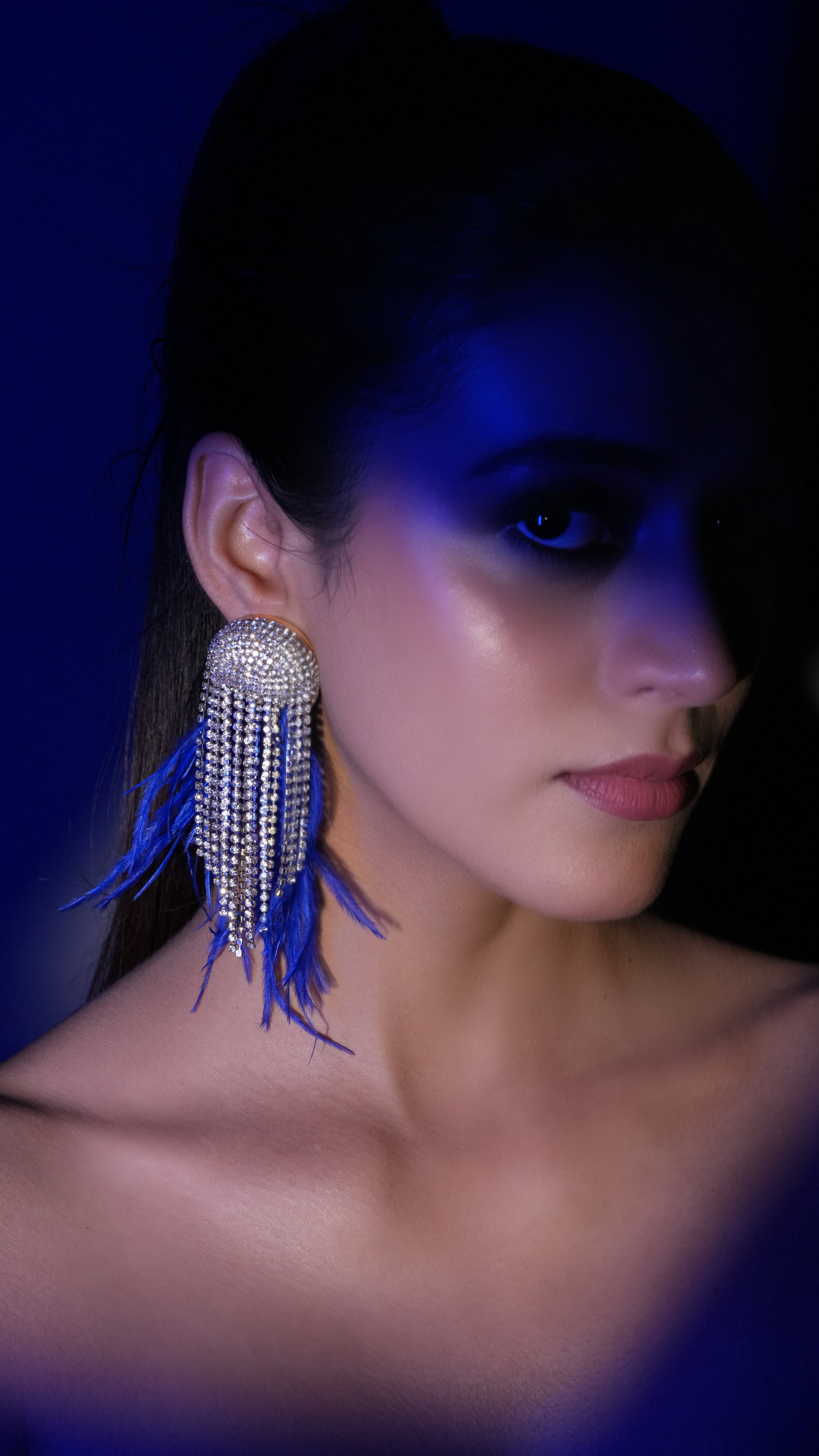 Blue Fringe Crystal Earrings