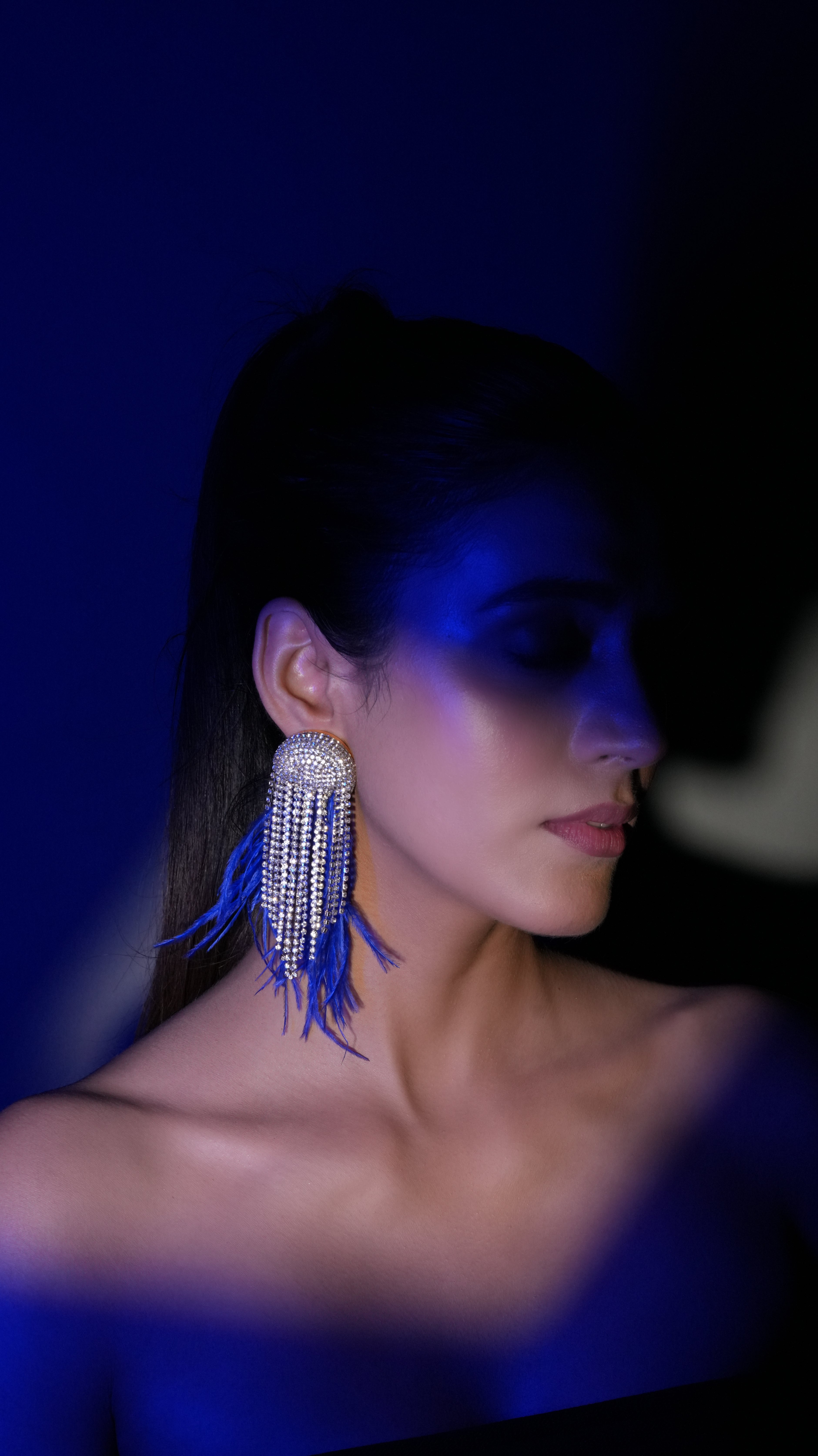 Blue Fringe Crystal Earrings