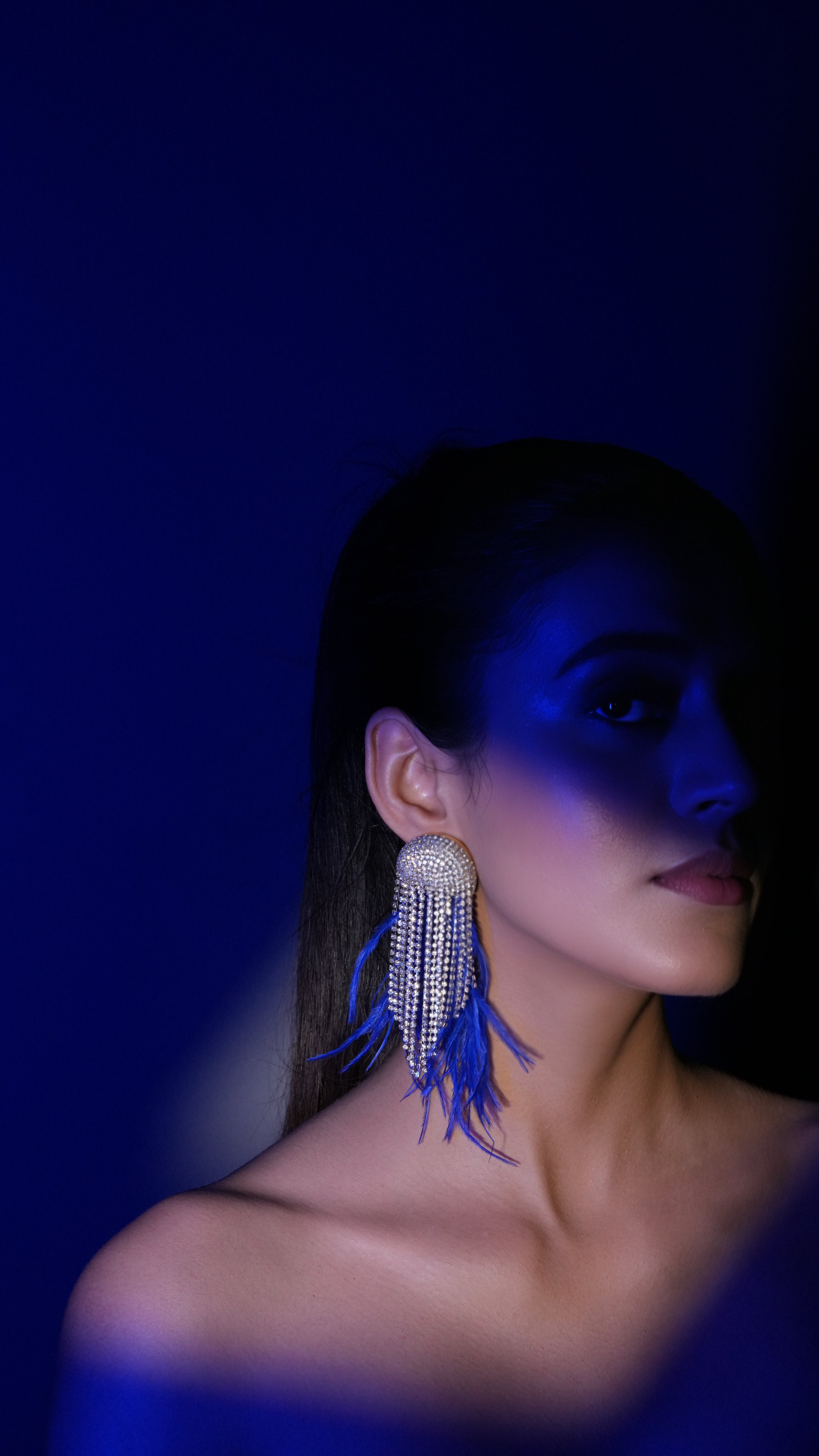 Blue Fringe Crystal Earrings