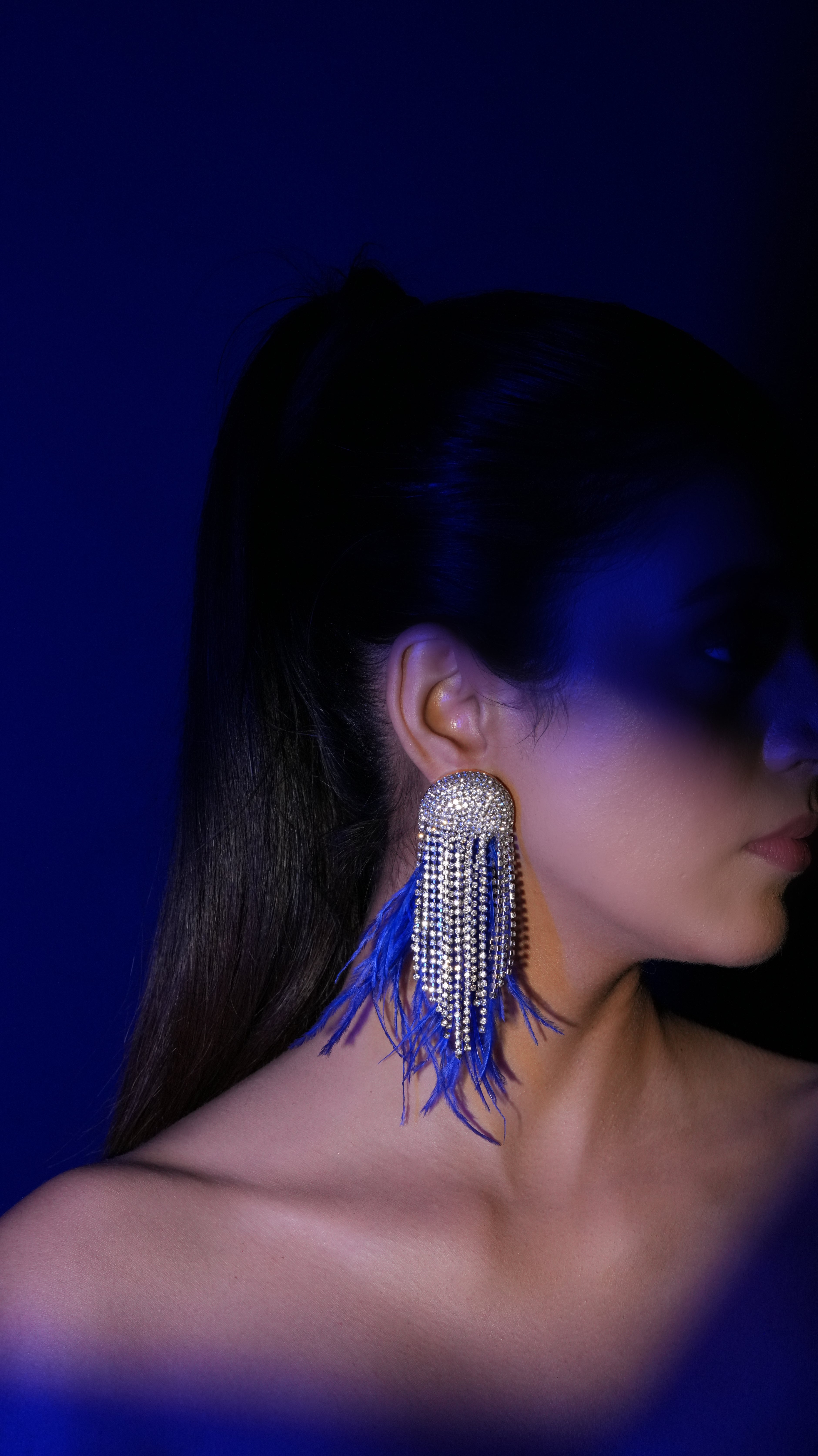 Blue Fringe Crystal Earrings