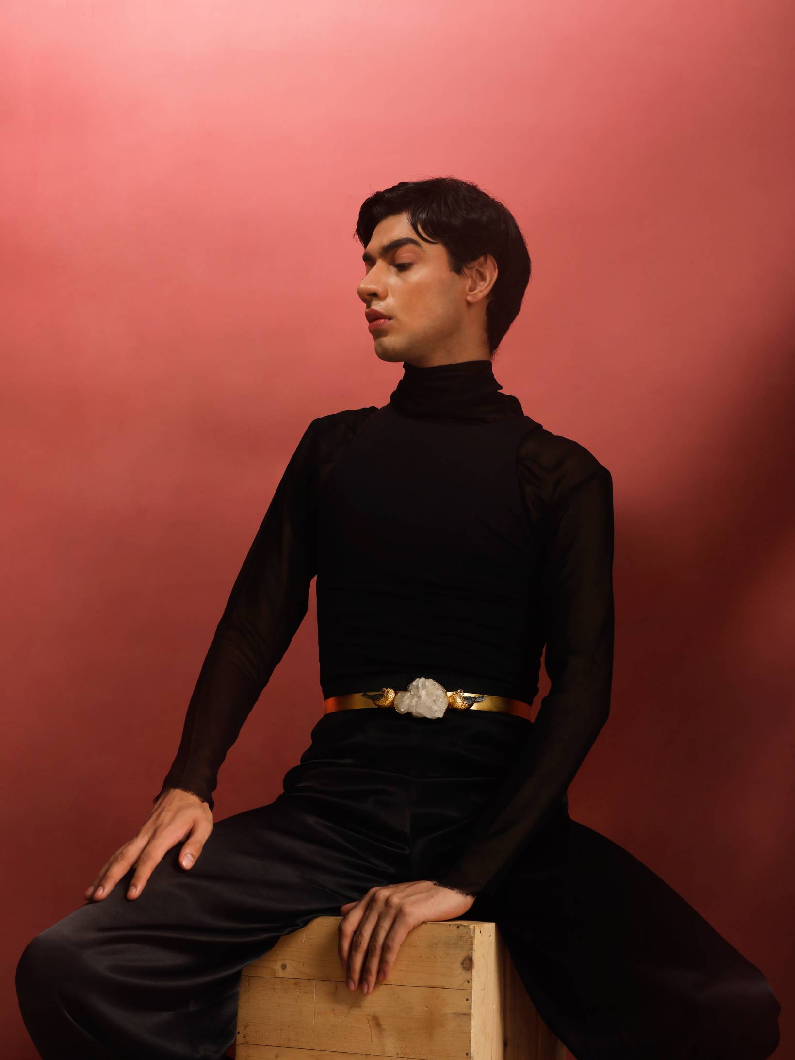A la mode belt