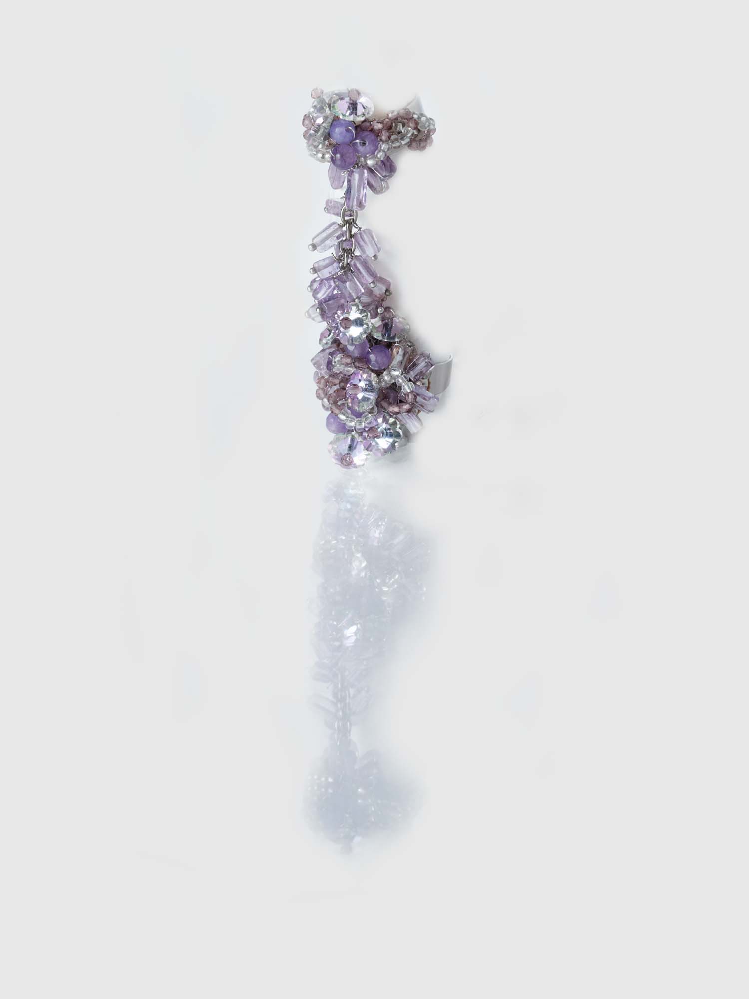 Verbena